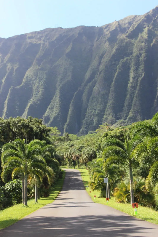 Aloha Hoomaluhia Botanical Gardens