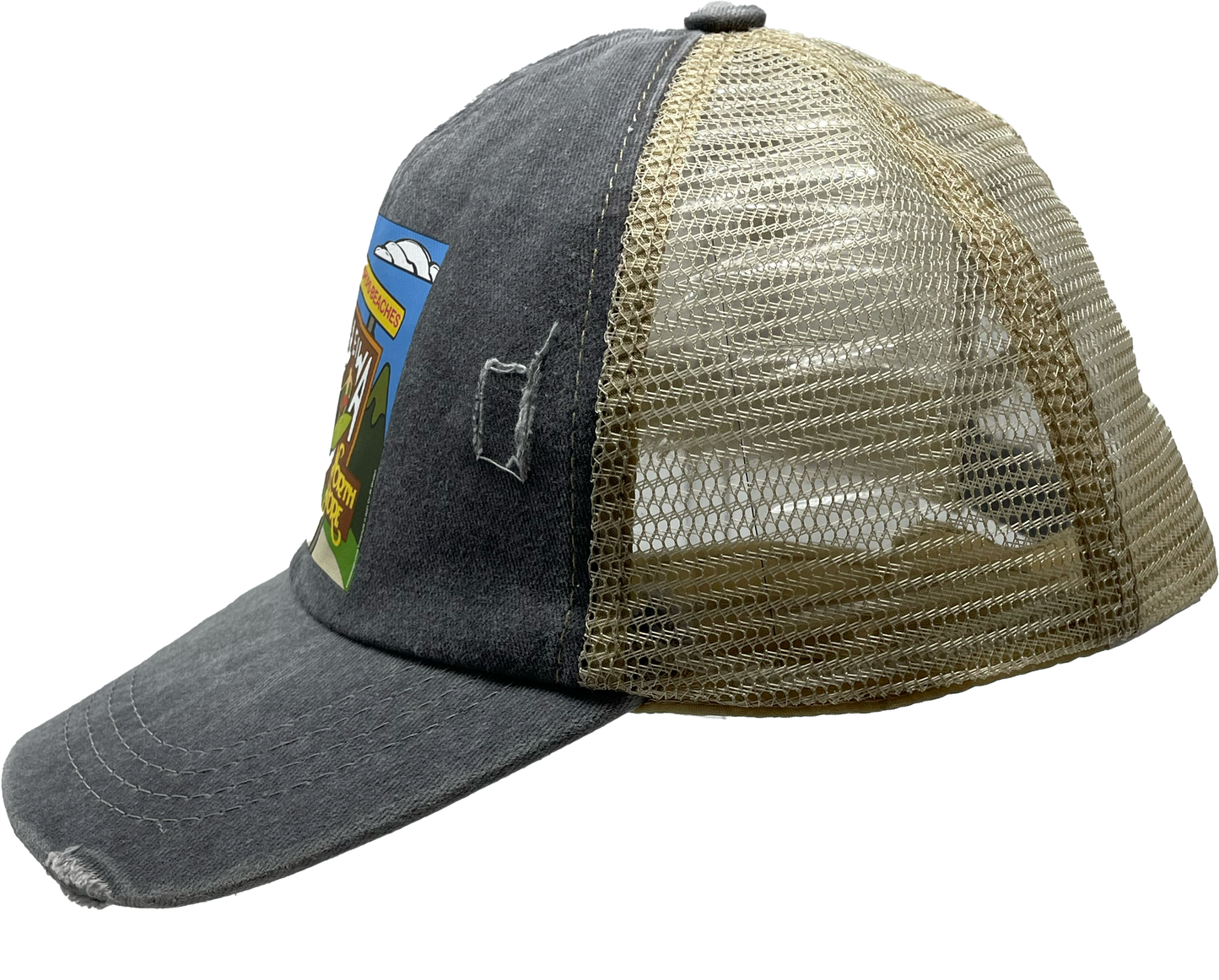 Aloha, Heliewa! || Ponytail Hat
