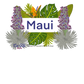 Aloha Maui! || Trucker Hat